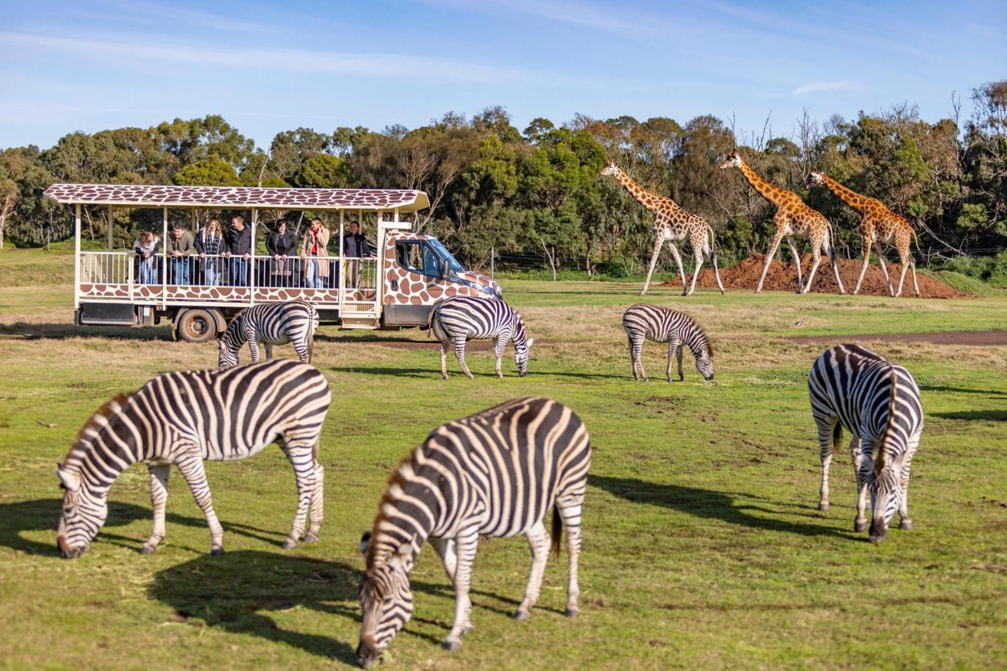 Holiday Inn Werribee, An Ihg Hotel ภายนอก รูปภาพ